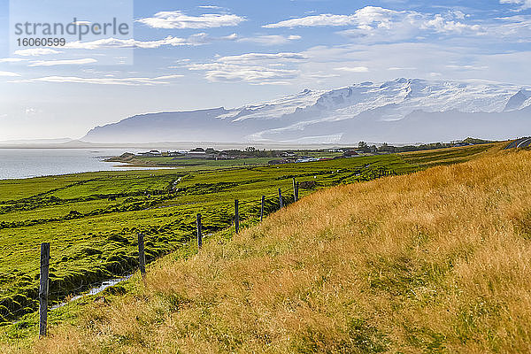Üppiges Ackerland entlang der Küste von Hornafjorour in Ostisland; Region Ost  Island