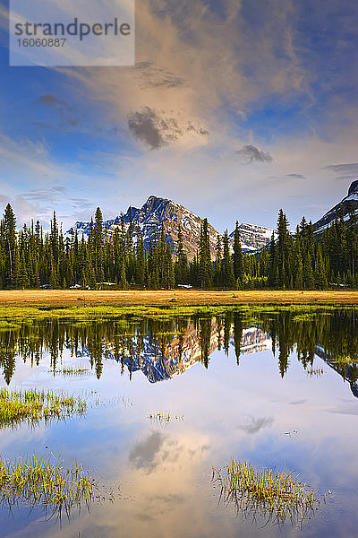 Ein ruhiger See  der das Spiegelbild eines Waldes und schroffer Berge widerspiegelt  Banff National Park; Alberta  Kanada