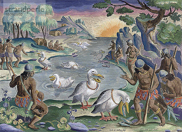 Idyllische Szene  in der Pelikane Fische fangen und sie den Indianern an der Küste bringen. Nach einem Stich von Karel van Mallery aus dem 17. Jahrhundert  nach einem Werk von Jan van der Straet. Spätere Kolorierung. Eine Platte aus der Serie Venationes Ferarum  Avium  Piscium  die ursprünglich um 1595 veröffentlicht wurde.