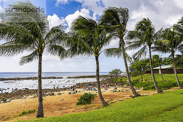 Menschen beim Schnorcheln in Shark's Cove an der Nordküste; Oahu  Hawaii  Vereinigte Staaten von Amerika