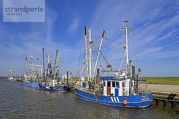 Kutter liegen im Hafen von Wremen  Wurster Nordseeküste  Niedersachsen  Deutschland  Europa