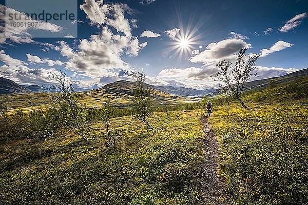 Wanderin in weiter Landschaft  Abisko Nationalpark  Björkliden  Norrbottens län  Schweden  Europa