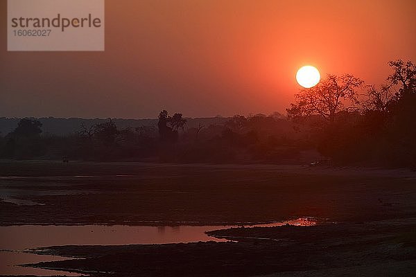 Safarifahrzeuge bei Sonnenaufgang entlang des Chobe River  Chobe Nationalpark  Botswana  Afrika