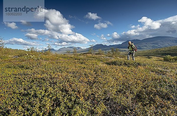 Wanderin in weiter Landschaft  Abisko Nationalpark  Björkliden  Norrbottens län  Schweden  Europa