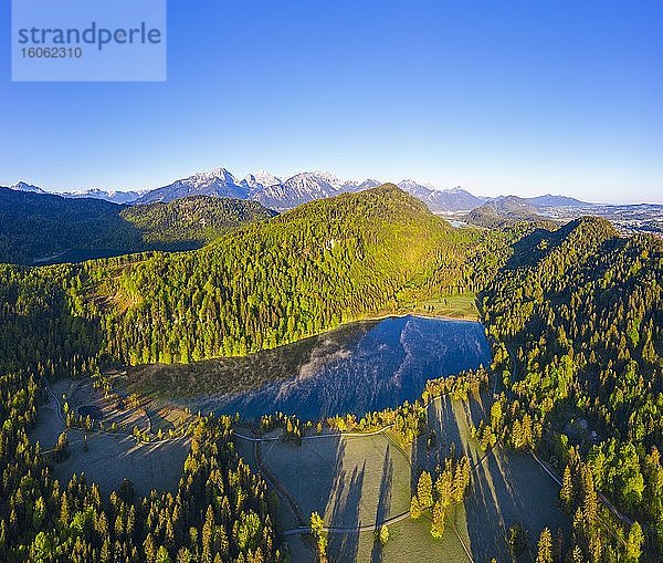 Schwansee bei Schwangau  Königswinkel  hinten Tannheimer Berge  Luftbild  Ostallgäu  Allgäu  Schwaben  Bayern  Deutschland  Europa