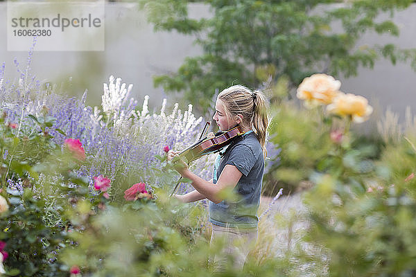 Teenager-Mädchen steht zwischen blühenden Rosen und Sträuchern und spielt Geige