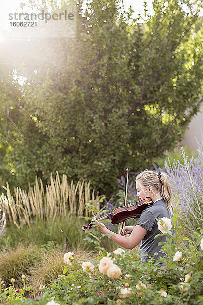 Teenager-Mädchen steht zwischen blühenden Rosen und Sträuchern und spielt Geige