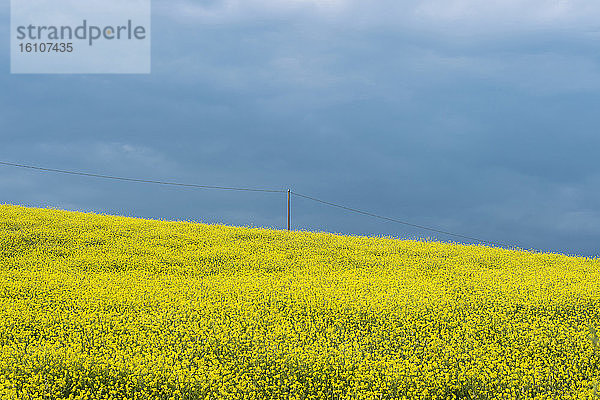 Italien  Toskana  Val d'Orcia