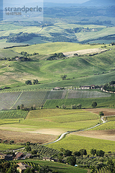 Italien  Toskana  Val d'Orcia  Landschaft um Montalcino