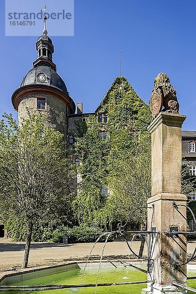 Mittelalterliche Burg  Schloss Laubach  mit Efeu (Hedera helix) bewachsen  Residenz der Grafen zu Solms Laubach  Laubach  Hessen  Deutschland  Europa