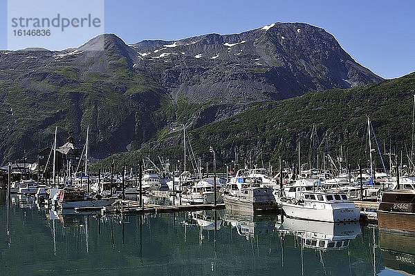 Hafen von Whittier  Prince William Sound  Alaska  USA  Nordamerika