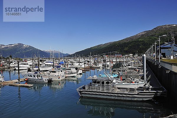 Hafen von Whittier  Prince William Sound  Alaska  USA  Nordamerika