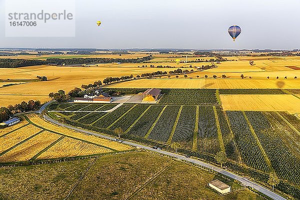 Agrarlandschaft  Luftbild  Abendstimmung  Heißluftballons landen auf Feldern  Warstein  Sauerland  Deutschland  Europa