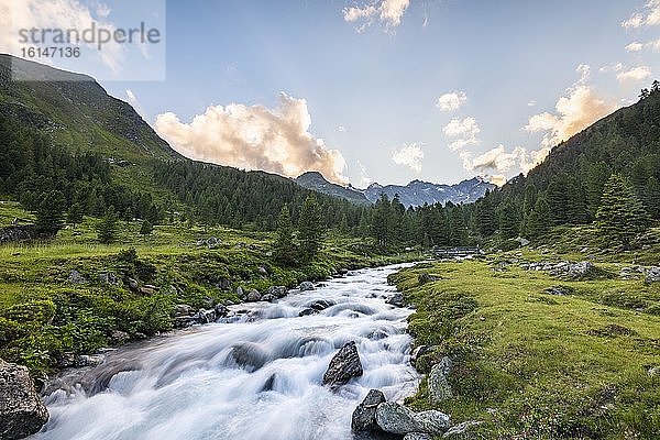 Debantbach  Debanttal  Nationalpark Hohe Tauern  Osttirol  Tirol  Österreich  Europa