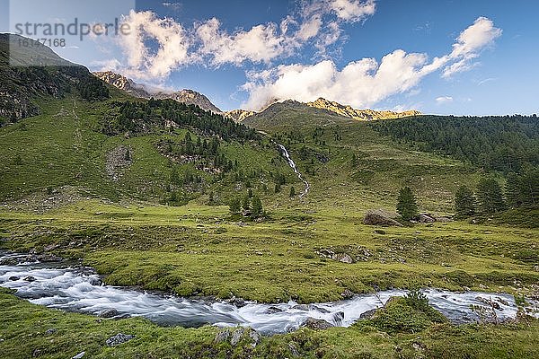 Almlandschaft mit Debantbach  Debanttal  Nationalpark Hohe Tauern  Osttirol  Tirol  Österreich  Europa