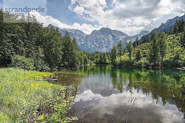 Großer Ödsee  Grünau  Almtal  Salzkammergut  Oberösterreich  Österreich  Europa