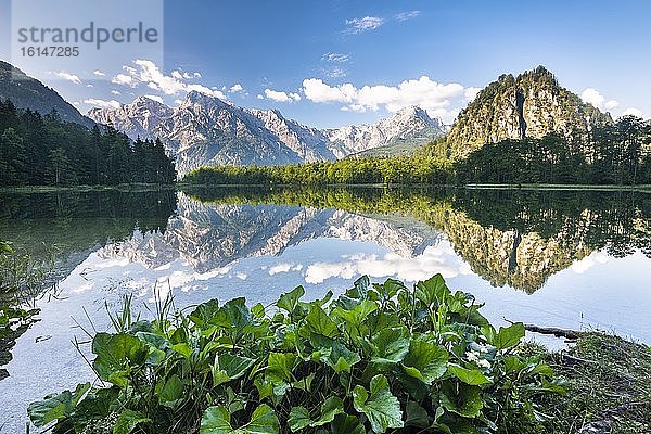 Almsee mit Spiegelung  Totes Gebirge  Grünau  Almtal  Salzkammergut  Oberösterreich  Österreich  Europa