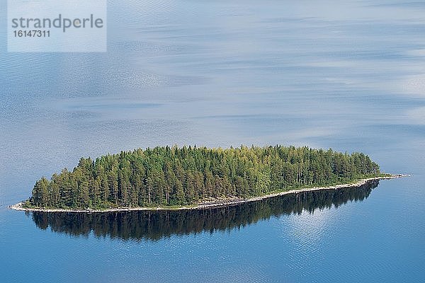 Bewaldete Insel  Pielinen-See  Koli-Nationalpark  Nordkarelien  Finnland  Europa