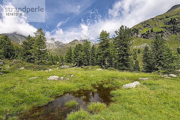Almlandschaft im Debanttal  Nationalpark Hohe Tauern  Osttirol  Tirol  Österreich  Europa