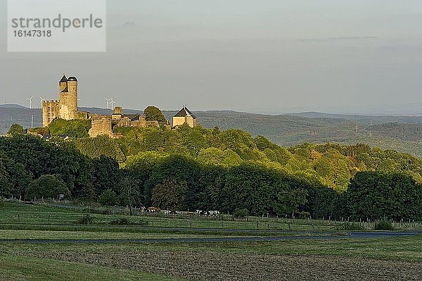 Ruine der mittelalterlichen Burg Greifenstein  Greifenstein  Dilltal  Westerwald  Geopark Westerwald-Lahn-Taunus  Hessen  Deutschland  Europa