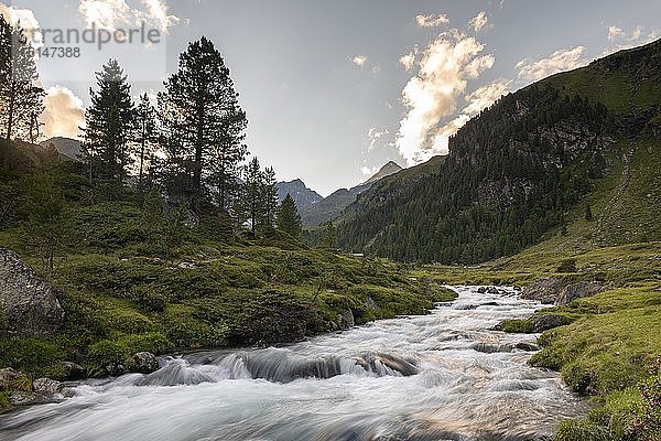 Debantbach  Debanttal  Nationalpark Hohe Tauern  Osttirol  Tirol  Österreich  Europa