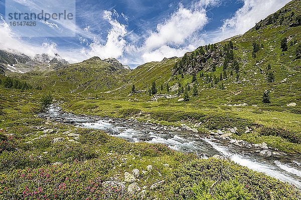 Debantbach  Debanttal  Nationalpark Hohe Tauern  Osttirol  Tirol  Österreich  Europa