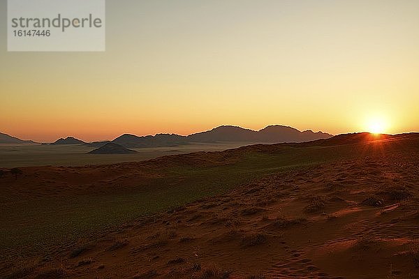 Landschaft bei Sonnenuntergang am Rand der Namib-Wüste  NamibRand-Naturreservat  Namibia  Afrika