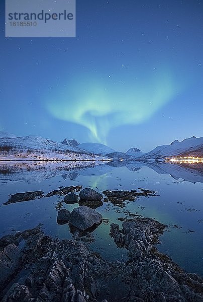 Polarlicht über schneebedeckten Gipfel spiegelt sich in einem Fjord  Insel Senja  Botnhamn  Troms  Norwegen  Europa