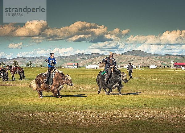 Nomaden beim Wettrennen mit Yaks  Arkhangai Aimag  Mongolei  Asien