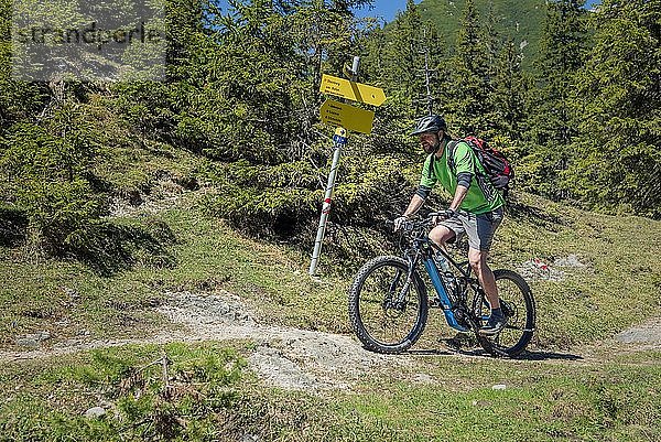 Mountainbike fährt mit eMTB auf Singletrail im Bergwald  Rofangebirge  Steinberg am Rofan  Tirol  Österreich  Europa
