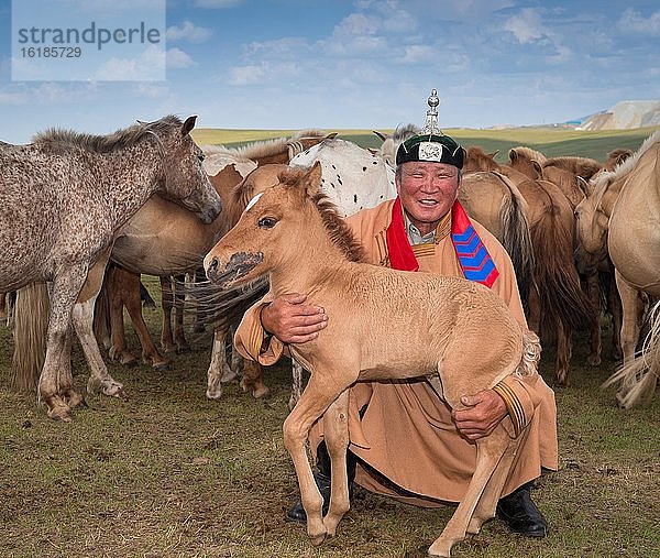 Hirte mit Fohlen vor seiner Herde  Erdenet Stadt  Bulgan Aimag  Mongolei  Asien