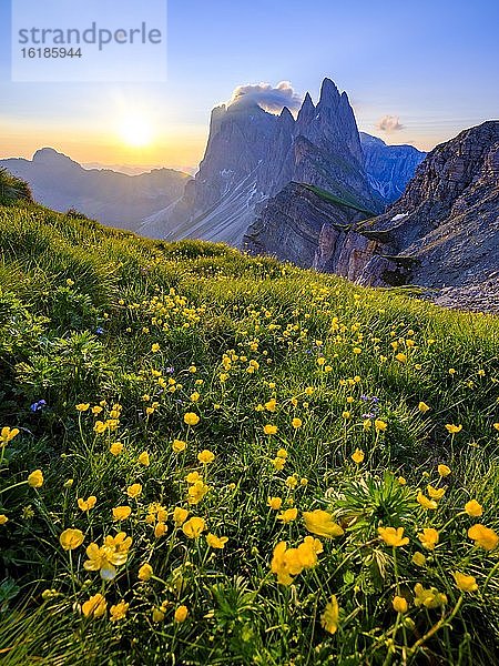 Fermedatürme  Geislerspitzen  Seceda  Naturpark Puez-Geisler  Dolomiten  Südtirol  Italien  Europa