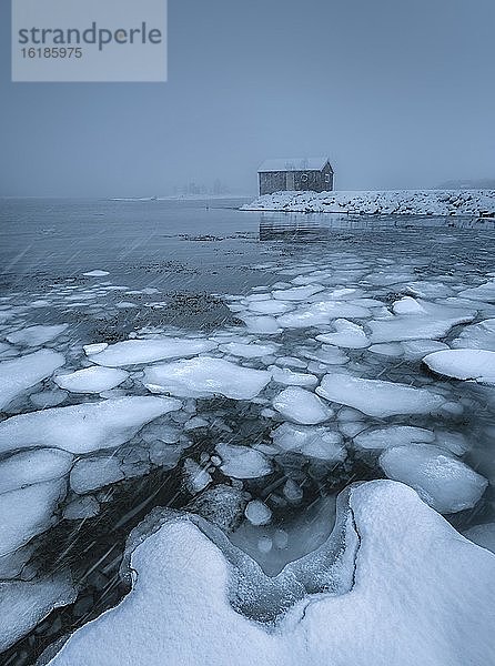 Eisschollen am gefrorenen Fjord bei dichtem Schneefall und dunkler Wolkenstimmung  Holzhütte  Stokmarknes  Nordland  Norwegen  Europa