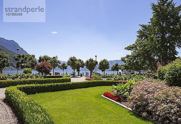 Franz Josef Park an der Esplanade  Gmunden  Traunsee  Salzkammergut  Oberösterreich  Österreich  Europa