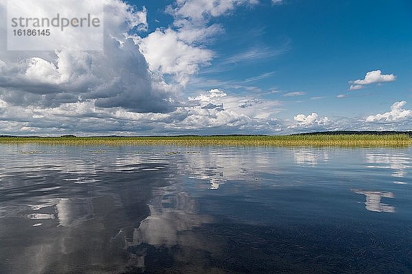 Wolken spiegeln sich im Päijänne-See  bei Sysmä  Finnland  Europa