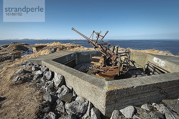 Flak-Stellung  Geschütz aus dem 2. Weltkrieg  Senjehestneset  Insel Senja  Stonglandseidet  Troms  Norwegen  Europa