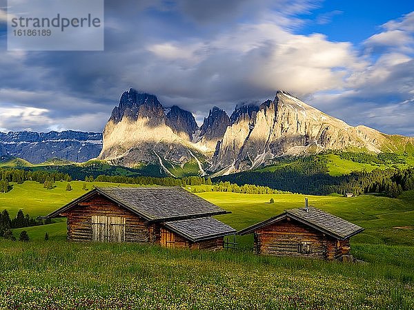 Seiseralm  Langkofel  Plattkofel  Südtirol  Dolomiten  Italien  Europa