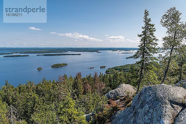 Berühmte Aussicht auf Pielinen-Seenlandschaft  Wald  Inseln  Koli-Berg  Koli-Nationalpark  Nordkarelien  Finnland  Europa