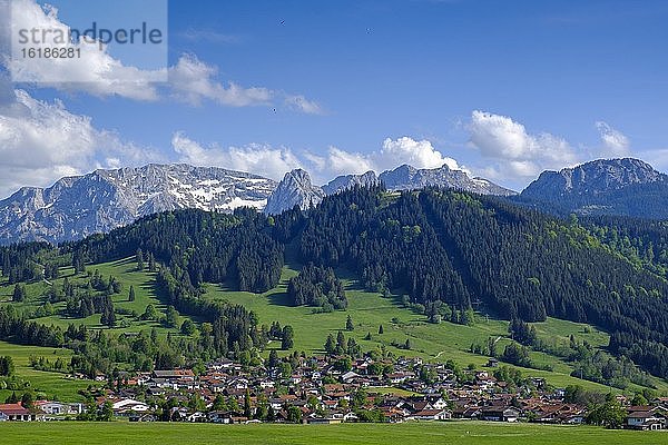 Ausblick vom Berghof  auf die Allgäuer Alpen bei Buching  Ostallgäu  Allgäu  Schwaben  Bayern  Deutschland  Europa