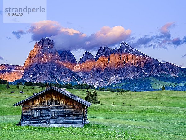 Seiseralm  Langkofel  Plattkofel  im Abendlicht  Südtirol  Dolomiten  Italien  Europa
