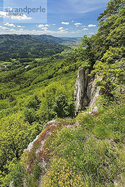 Blick von der Schalksburg auf die Balinger Berge  Schwäbische Alb  Baden-Württemberg  Deutschland  Europa