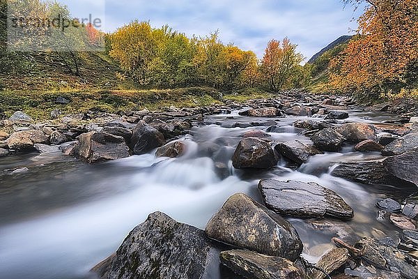 Gebirgsbach mit bunter Vegetation im Herbst  Ruska Aika  Indian Summer  Altweibersommer  Tessand  Innlandet  Norwegen  Europa