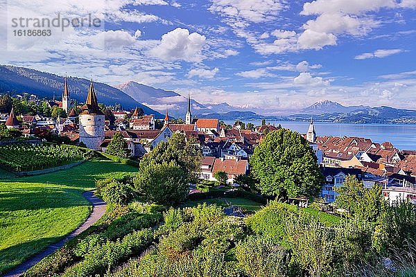 Ausblick auf Zuger Altstadt und Zugersee  dahinter Berg Rigi und Pilatus  Kanton Zug  Schweiz  Europa