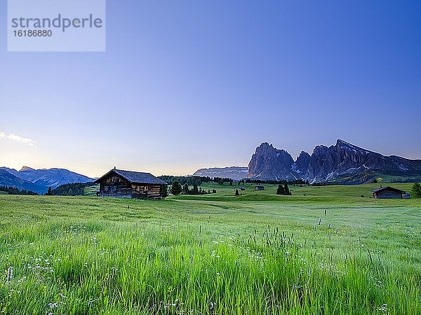 Seiseralm  Langkofel  Plattkofel  im Morgenlicht  Südtirol  Dolomiten  Italien  Europa