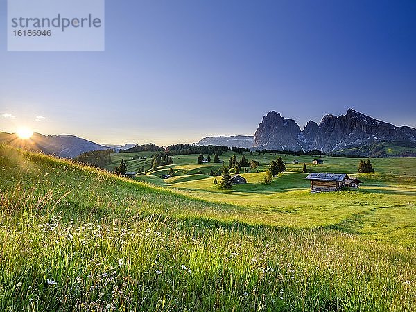 Seiseralm  Langkofel  Plattkofel  bei Sonnenaufgang  Südtirol  Dolomiten  Italien  Europa