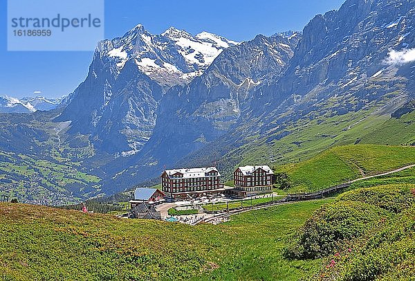 Kleine Scheidegg mit Wetterhorn über Grindelwald  UNESCO-Weltnaturerbe  Wengen  Jungfrau-Region  Berner Alpen  Berner Oberland  Kanton Bern  Schweiz  Europa
