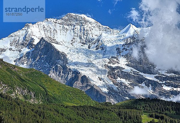 Jungfrau-Massiv  Wengen  Jungfrau-Region  UNESCO-Weltnaturerbe  Berner Alpen  Berner Oberland  Kanton Bern  Schweiz  Europa