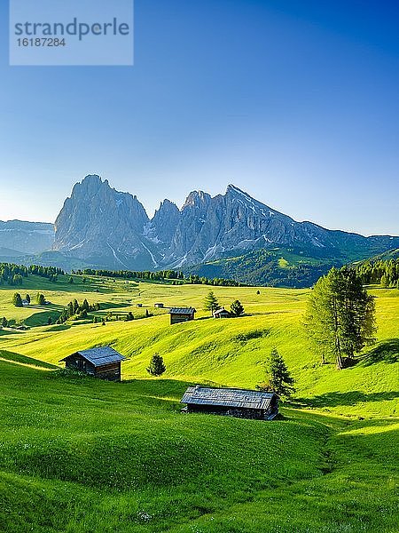 Seiseralm  Langkofel  Plattkofel  im Morgenlicht  Südtirol  Dolomiten  Italien  Europa