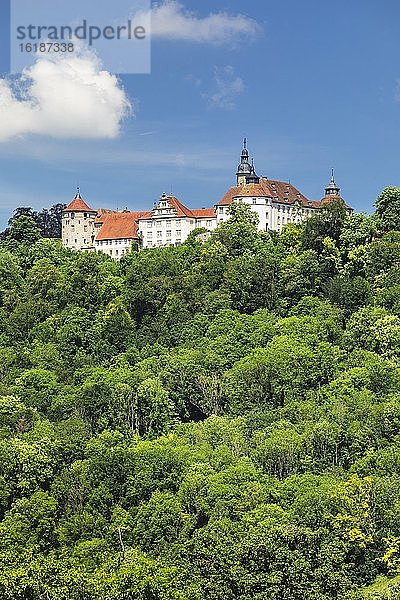 Schloss Langenburg  Langenburg  Hohenlohe  Baden-Württemberg  Deutschland  Europa