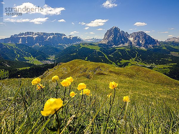 Sellagruppe und Langkofel  Dolomiten  Südtirol  Italien  Europa